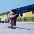 Squirrel with a Gun annunciato per Nintendo Switch 2 con un trailer