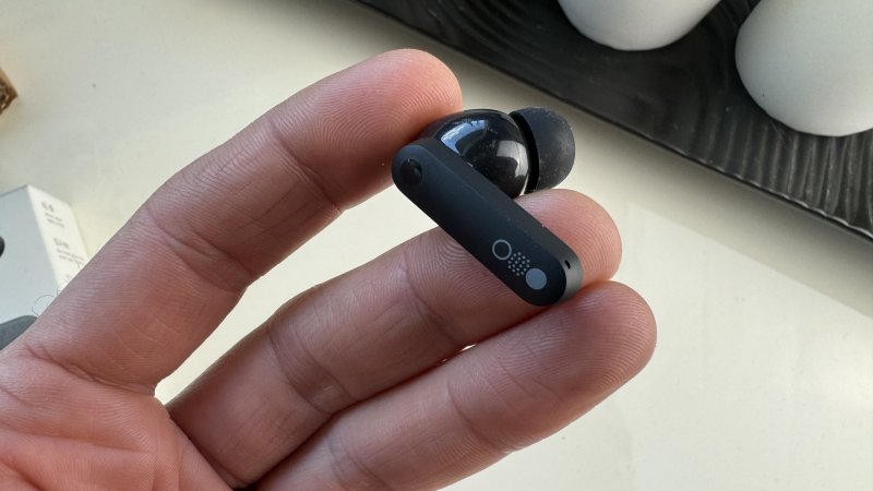 Le Buds hanno dimensioni molto ridotte con steli corti