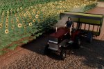 Ranch Simulator ha venduto più di 1 milione di copie: è stato fatto da due persone - Notizia