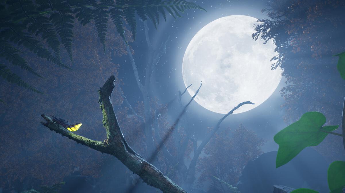 La Luna illumina il bosco