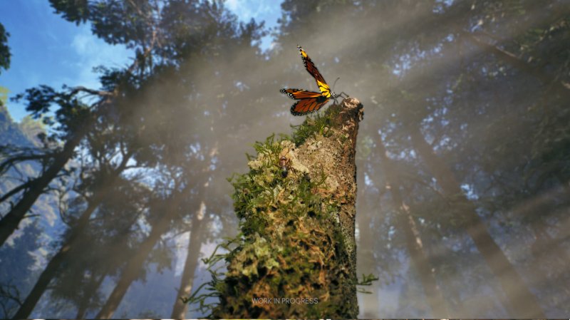 Farfalla monarca su tronco, tra quintessenza visiva ed estasi sonora