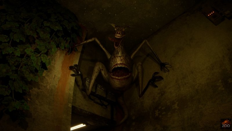 Bel cangurino, scendi giù dai Bel cangurino, scendi giù dai