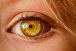 Alcune persone vedono più frame per secondo, secondo uno studio - Notizia