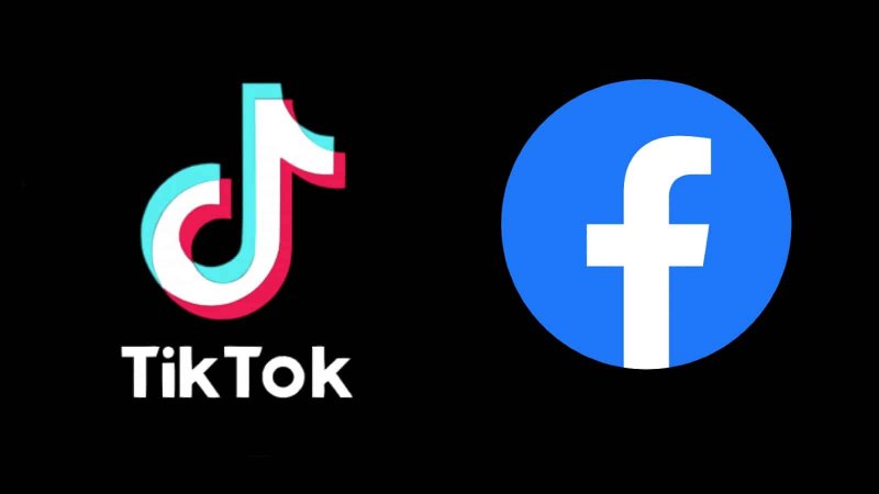 TikTok, posseduta da ByteDance, e Facebook, di proprietà di Meta TikTok, posseduta da ByteDance, e Facebook, di proprietà di Meta