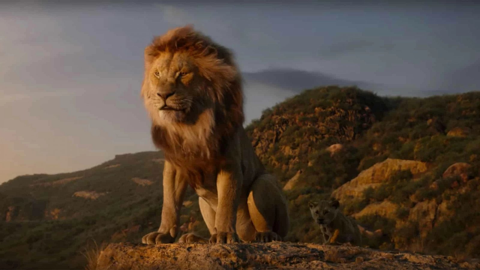 Mufasa: Il Re Leone, la prima immagine teaser ufficiale è stata pubblicata