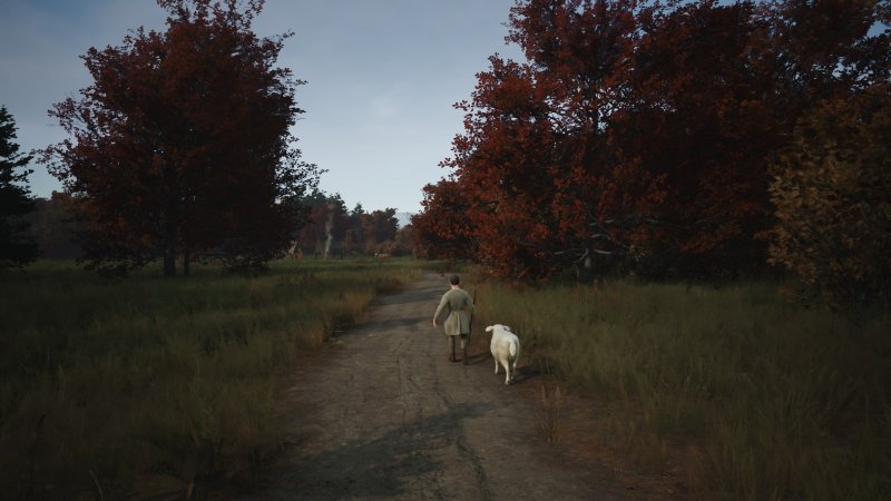 I mercanti viaggeranno vendendo e comprando merce e animali richiesti. È essenziale quanto prima fornirgli almeno un cavallo