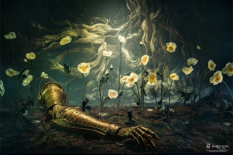 Se lo comprate, mettetelo in posto adeguato Se lo comprate, mettetelo in posto adeguato