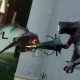 Destiny 2: La Forma Ultima - Trailer dell'"Arcigno"