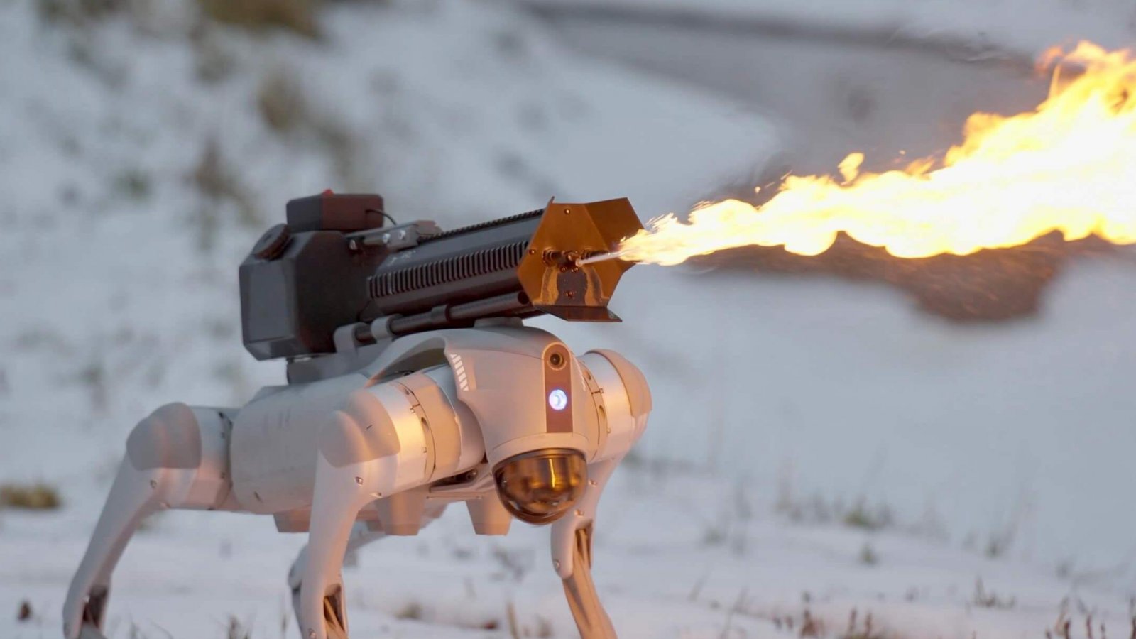 Ora potete acquistare un cane robot con attaccato un lanciafiamme per meno di 10.000 dollari