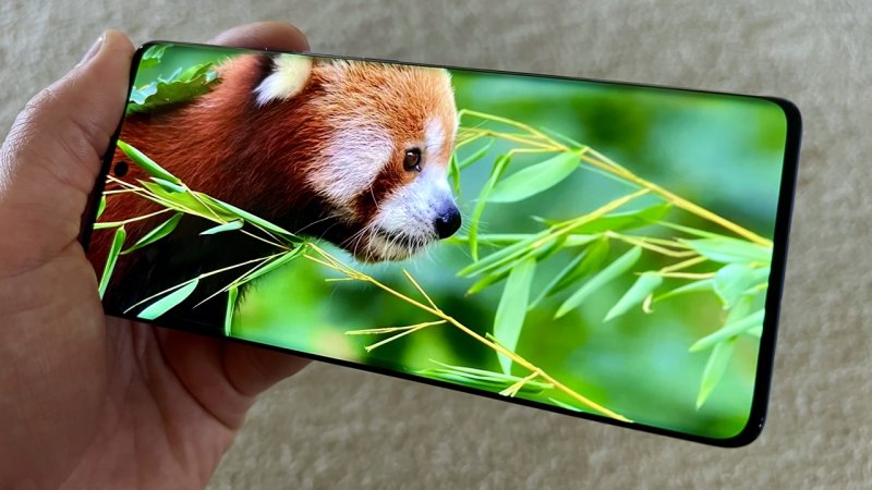 Il display di Motorola Edge 50 Pro è senza dubbio uno dei punti di forza del dispositivo Il display di Motorola Edge 50 Pro è senza dubbio uno dei punti di forza del dispositivo