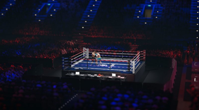 Anche nella riproduzione di arene e ring si evince la cura per il dettaglio profusa in Undisputed