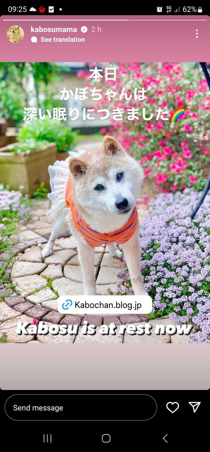 Il messaggio di addio a Kabosu Il messaggio di addio a Kabosu