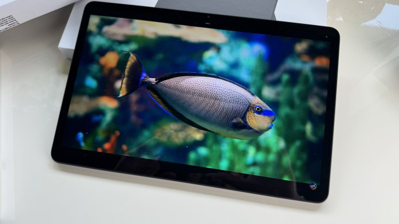 Pur avendo soltanto un LCD, il display è di buona qualità Pur avendo soltanto un LCD, il display è di buona qualità