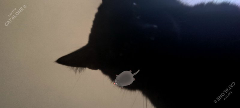 Cat Alone 2 permette ai nostri gatti di scattarsi dei selfie