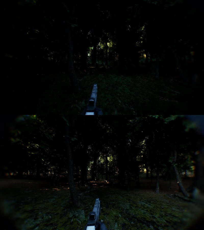 Le zone d'ombra con i dettagli al massimo sono molto più scure