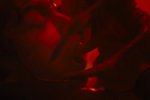 Alien: Romulus si presenta con un trailer pieno di sangue e alieni che parlano in italiano - Notizia