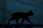 Stray esce anche su Nintendo Switch: l'annuncio durante il Direct - Notizia