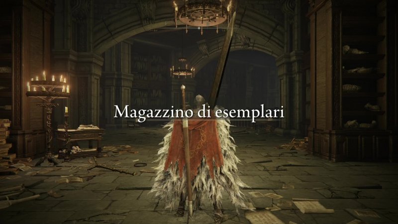 Magazzino Di Esemplari