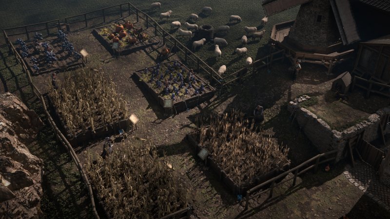 In Kingsmartch, you'll have to grow enough food to keep the entire city happy.