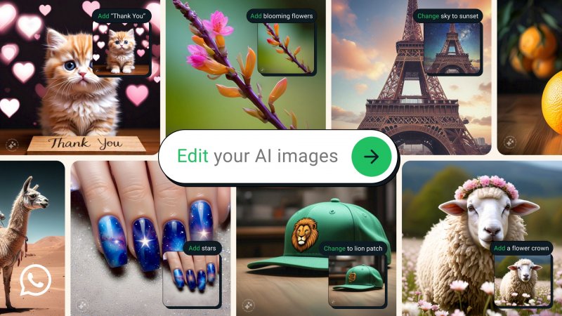 Immagina Modifica, la nuova funzione Meta AI su WhatsApp Immagina Modifica, la nuova funzione Meta AI su WhatsApp