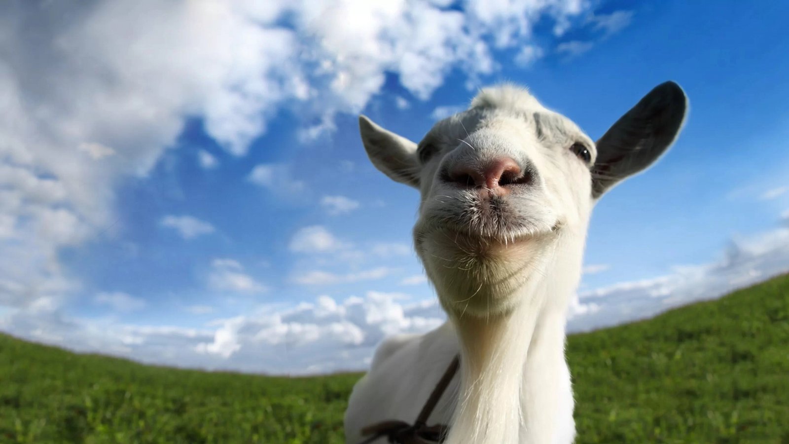 La capra della copertina di Goat Simulator