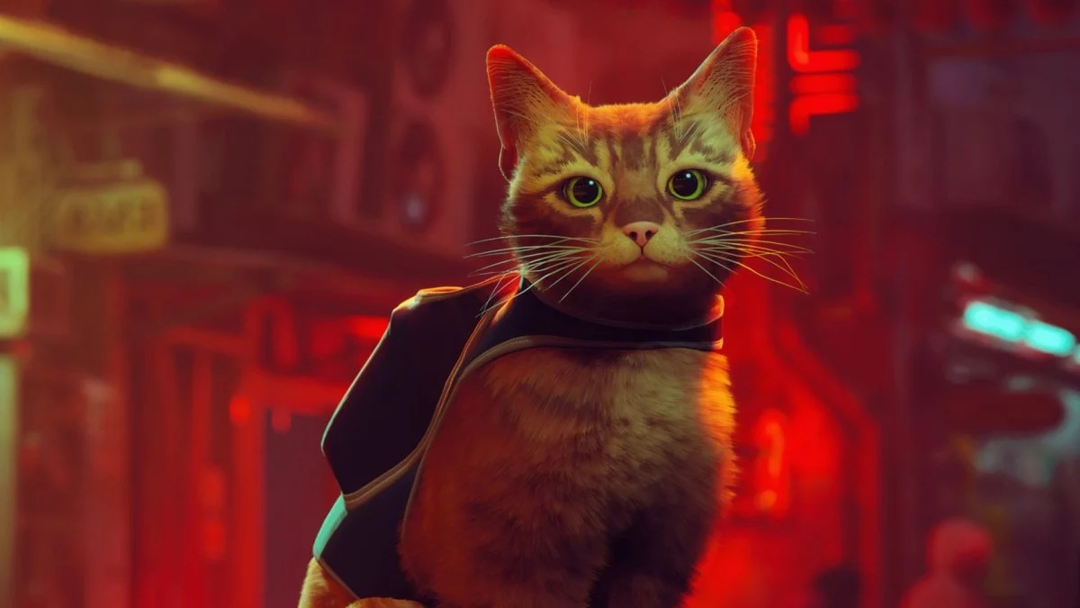 Il protagonista felino di Stray