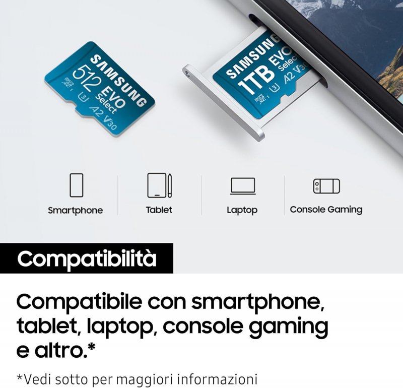 La Scheda MicroSD di Samsung