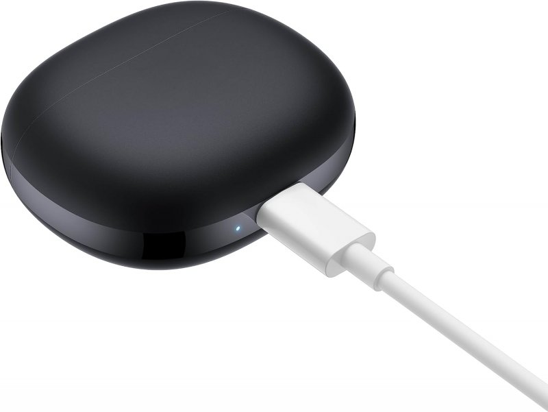 La custodia degli auricolari in ricarica tramite cavo