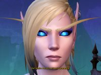 Bobby Kotick non ha mai aumentato l'abbonamento di World of Warcraft per la suscettibilità dei giocatori