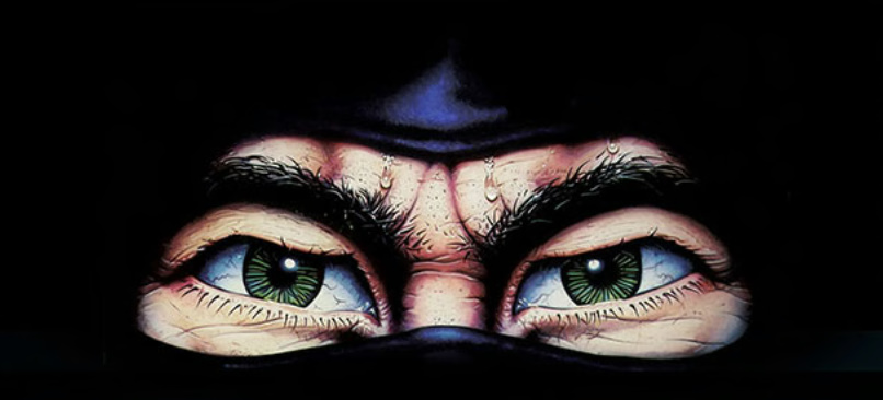 L'artwork di copertina di The Last Ninja