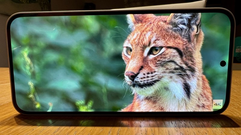 Lo schermo di Nothing Phone (2a) Plus è identico a quello dello scorso modello e si conferma ottimo