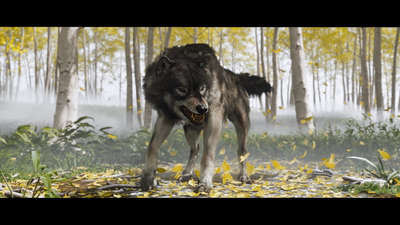 Il lupo di Ghost of Yotei è solo un elemento di trama oppure sarà parte del gameplay? Il lupo di Ghost of Yotei è solo un elemento di trama oppure sarà parte del gameplay?