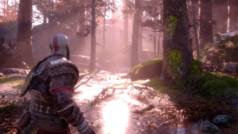 Da un punto di vista visivo, il gioco è, se possibile, ancora più straordinario su PC Da un punto di vista visivo, il gioco è, se possibile, ancora più straordinario su PC