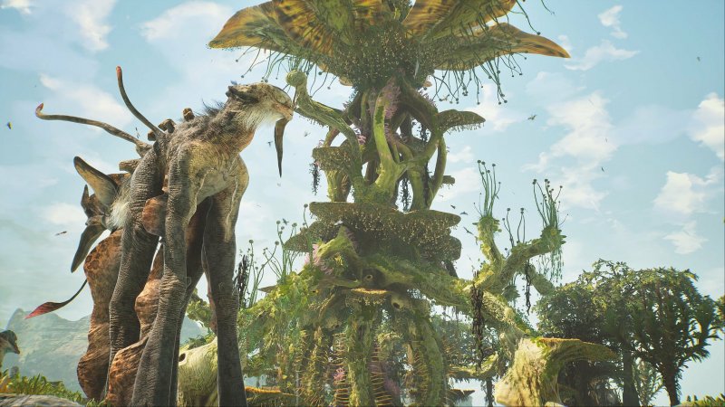 La flora e fauna di Towers of Aghasba sono a dir poco bizzarre