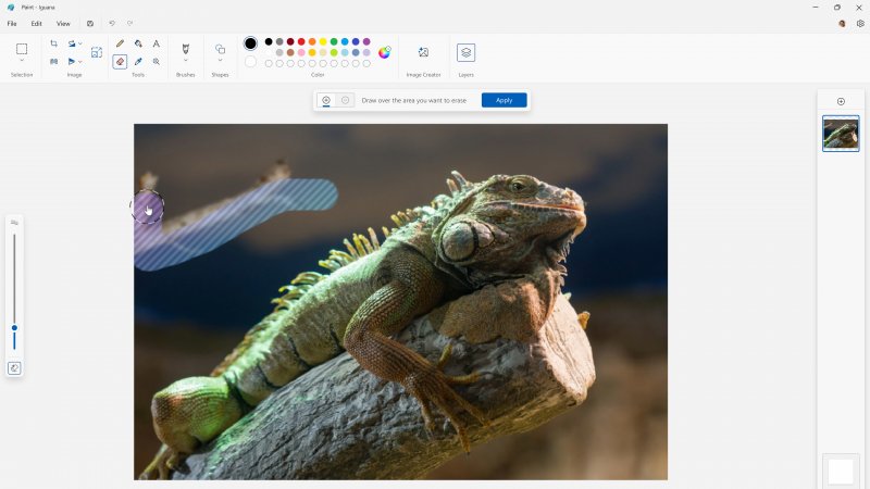 Generative Erase in Paint Generative Erase in Paint