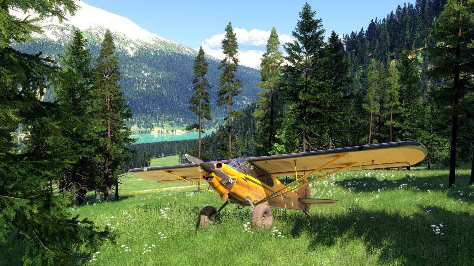 Un'immagine di Microsoft Flight Simulator 2024