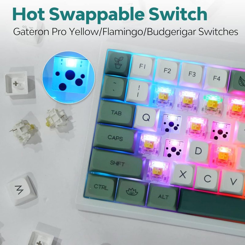 Gli switch e i tasti intercambiabili della tastiera.