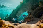Subnautica 2 è stato mostrato in un trailer con periodo di uscita in Game Preview, sarà su Xbox Game Pass - Notizia