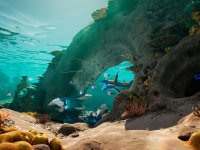 Subnautica 2 è stato mostrato in un trailer con periodo di uscita in Game Preview, sarà su Xbox Game Pass