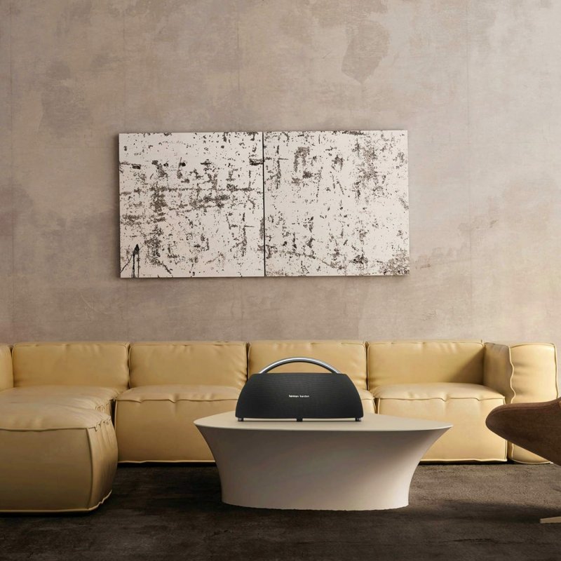 Il diffusore posizionato in soggiorno. Il diffusore posizionato in soggiorno.