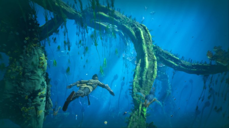 Sarà possibile immergersi ed esplorare i fondali marini