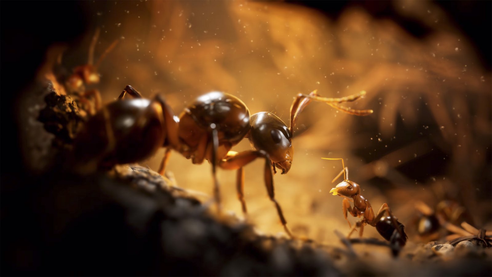 Empire of the Ants, la recensione di uno strategico che non ti aspetti