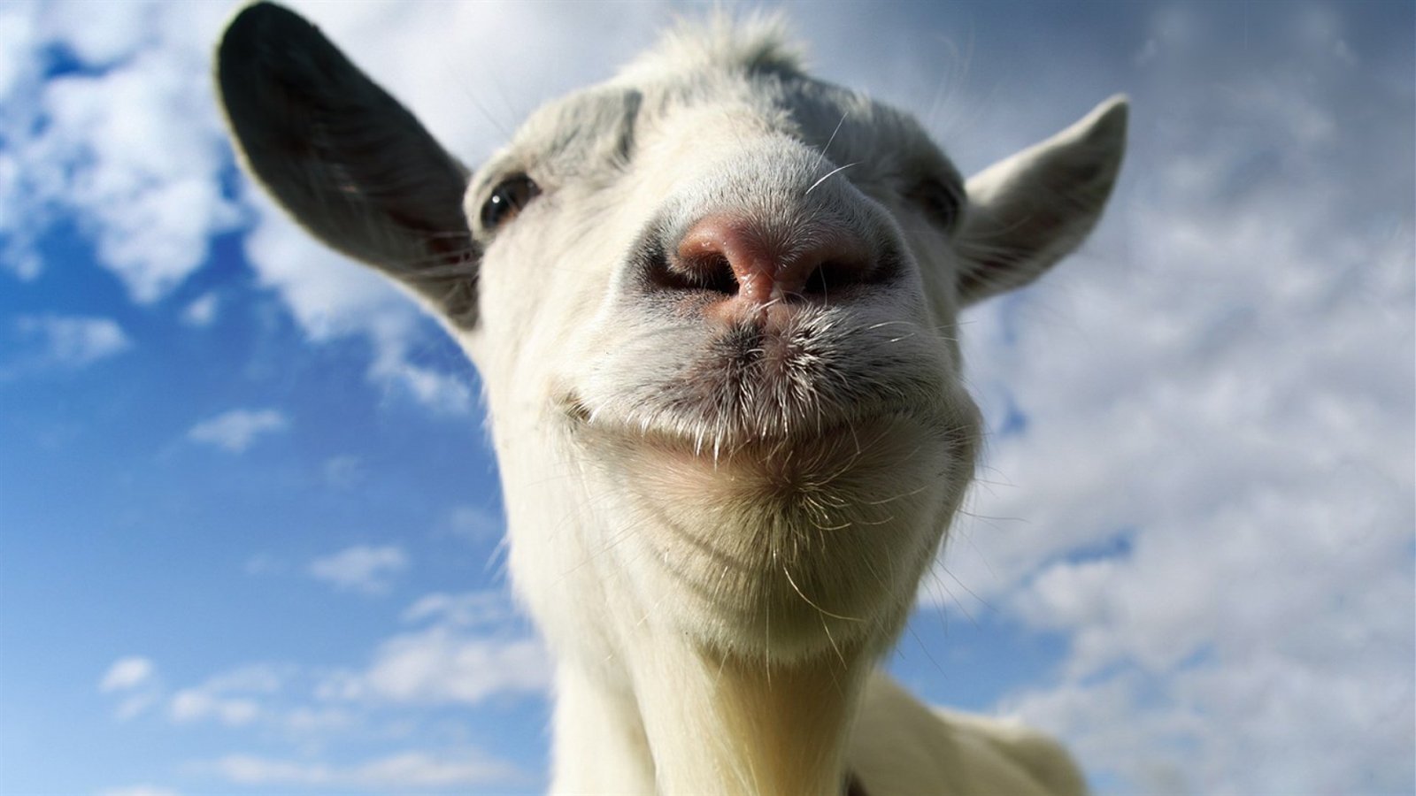 La capra sulla copertina di Goat Simulator