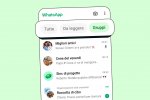 Le liste predefinite in WhatsApp per Android si potranno presto cancellare: ecco come - Notizia