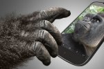 Corning, il produttore di Gorilla Glass, riceverà fino a 32 milioni di dollari dal CHIPS Act - Notizia