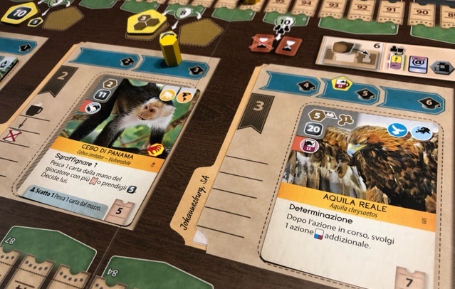 Le carte di Ark Nova possono presentare tantissime icone diverse. Quelle in alto a sinistra rappresentano ciò che serve alla carta per essere giocata. L'aquila reale nella foto richiede uno spazio di cinque esagoni vicino alle montagne oppure uno slot nella voliera; venti soldi e la carta animali di secondo livello