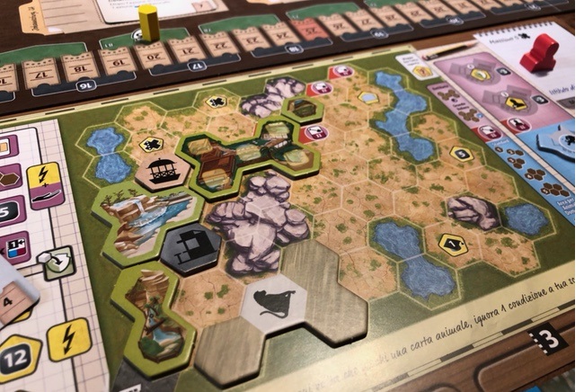 La plancia giocatore è dove troverete la mappa del vostro zoo e le carte azione necessarie per svolgere le diverse attività. Esistono mappe più facili e altre più impegnative, ed alcune hanno anche upgrade unici