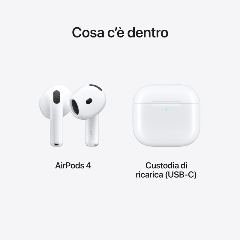 I contenuti nella scatola.