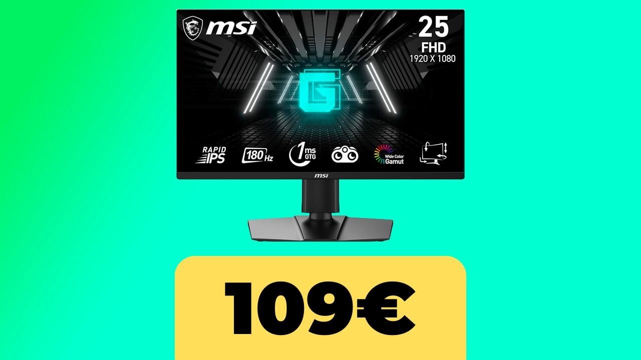 Monitor MSI