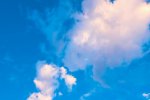 Bluesky intensifica la lotta contro gli account falsi e quadruplica il team di moderazione - Notizia